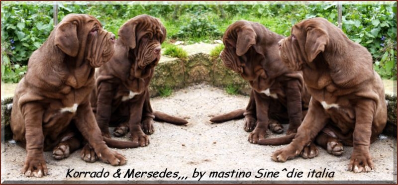 Korrado e Mersedes by Sine^die