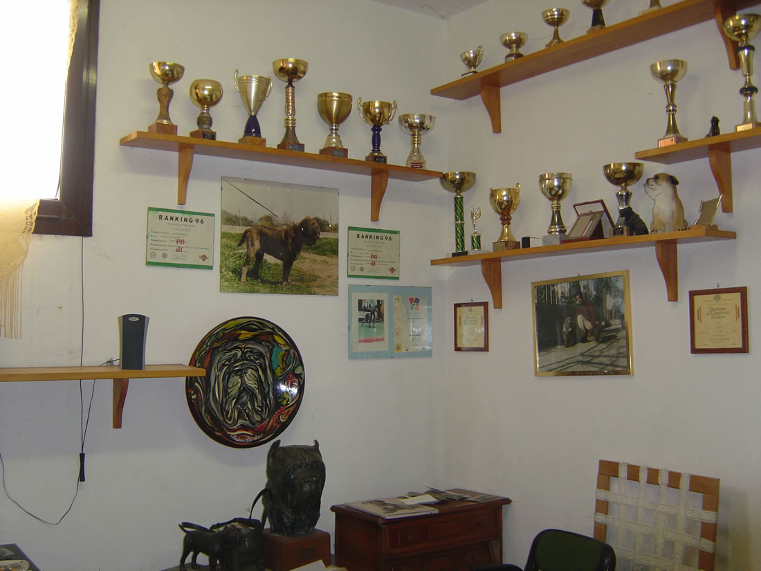 trophy1