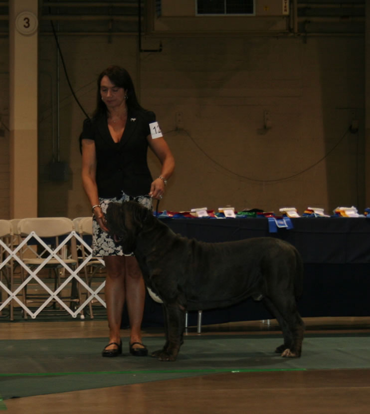 2010-Nationals-22