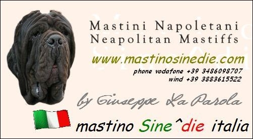 500 biglietto da visita,