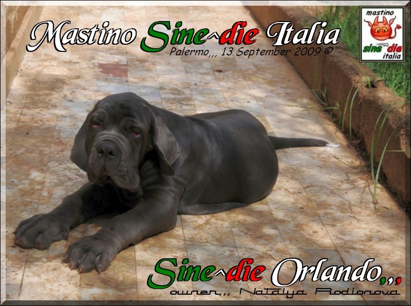 Orlando Sine^die,,,