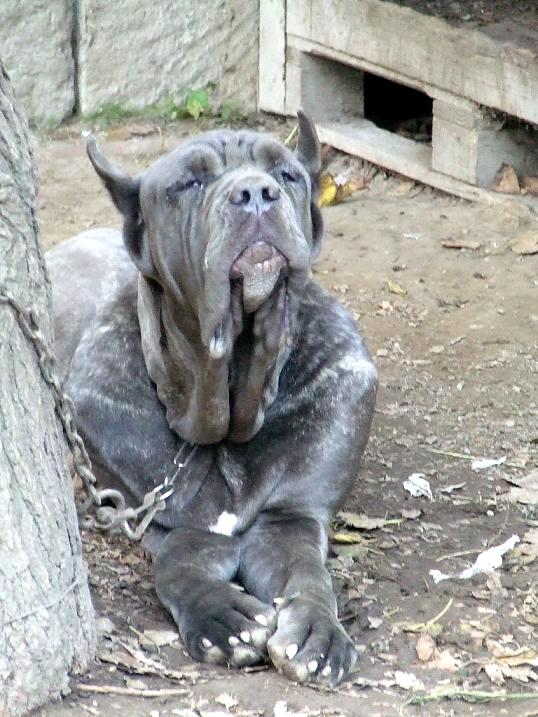 2006_1029Abi01220001