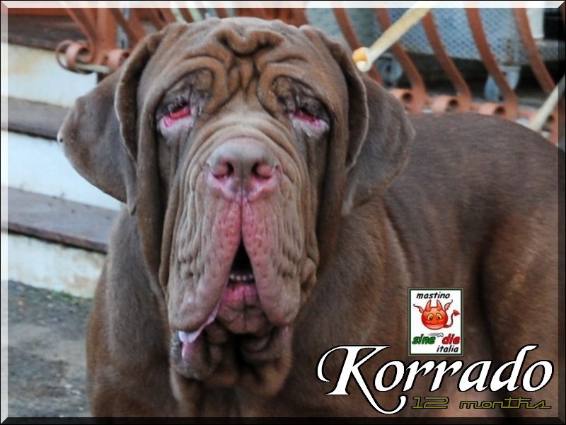Korrado,,, 17 September 2009