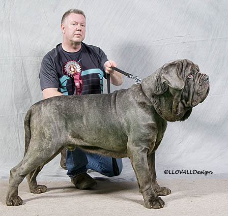 Photo97Dog65Web