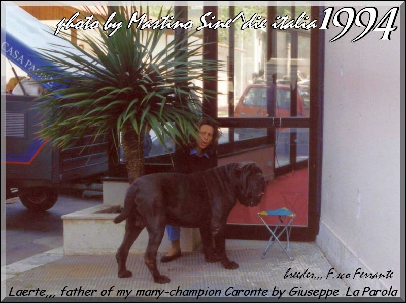 1994 Laerte fhater of champion Caronte,