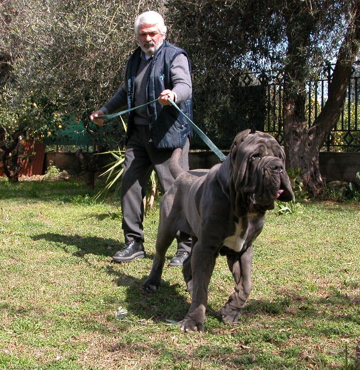nemo del castellaccio con giuseppe la parola