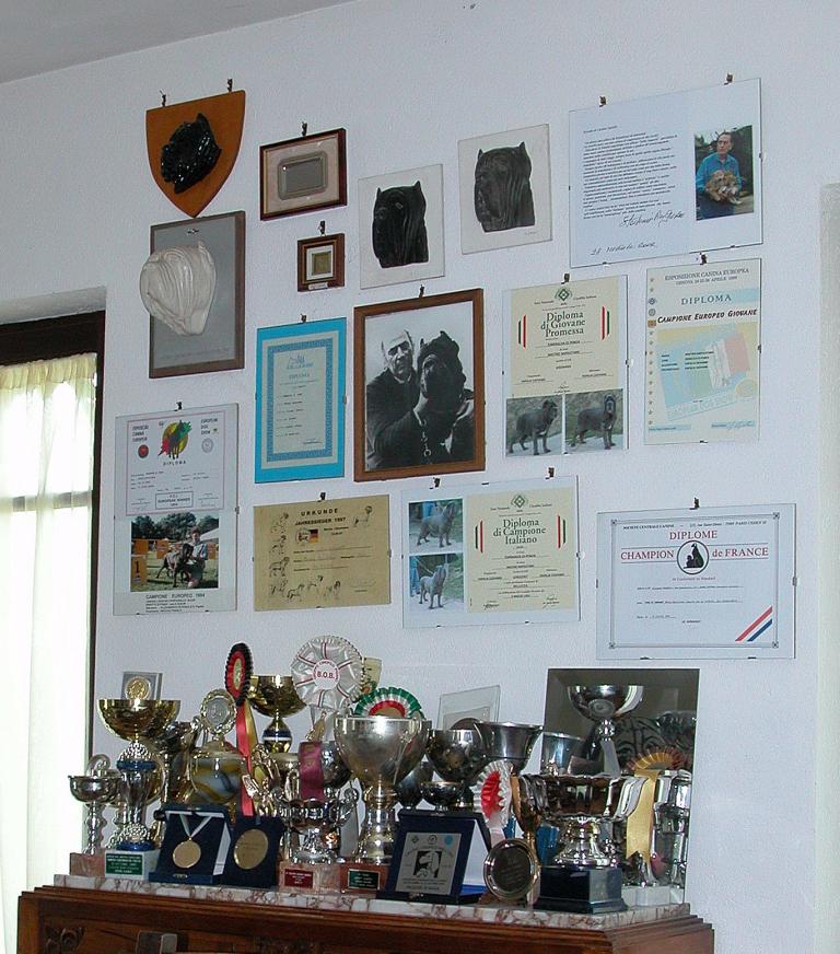 DSCN18410001