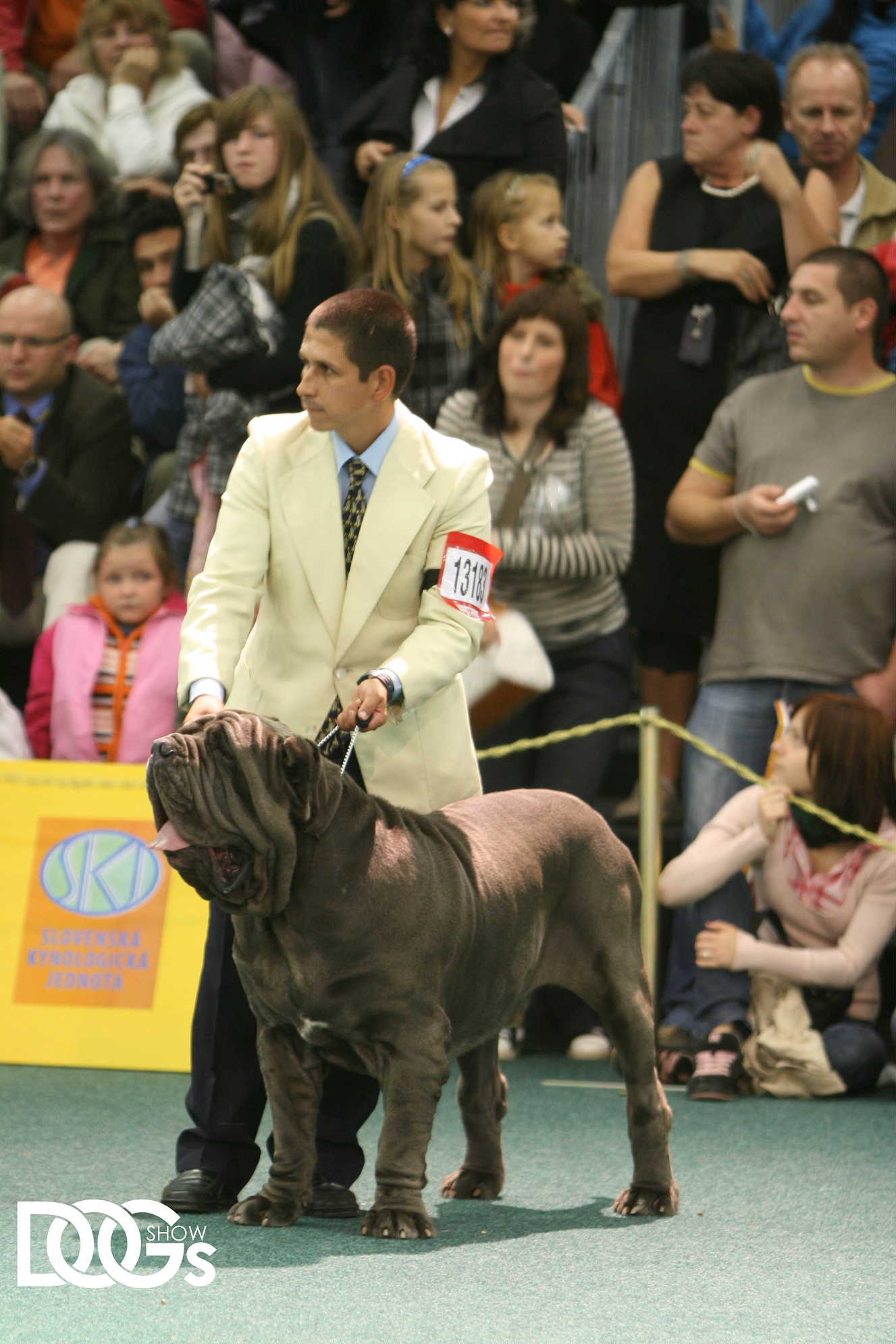 CH.RREMO DE AZZURRA MUNDIAL 2009