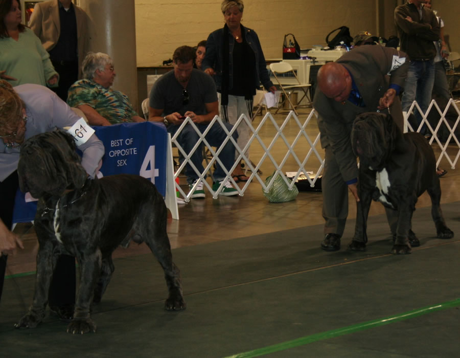 2010-Nationals-52