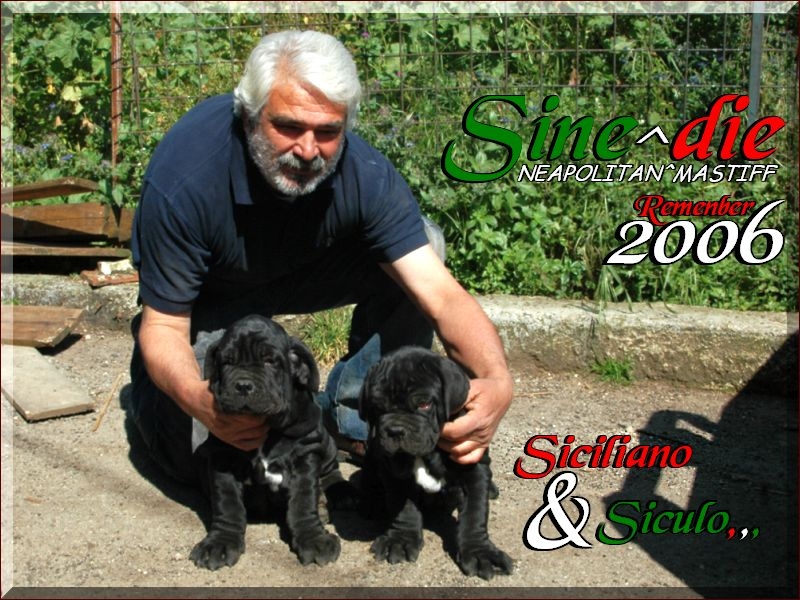 Siciliano & Siculo,,,