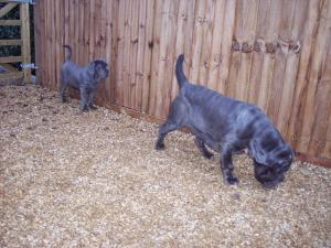 Copy of 27 12 2007 106