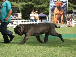 enrico e runo 1