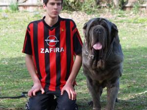 LEO AND MIKE