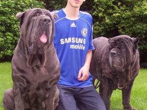 Dogs 28 10 2006 024