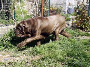 tyson_daughter