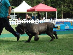 enrico e bruno 2