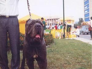 masaniello_di_acerra20001