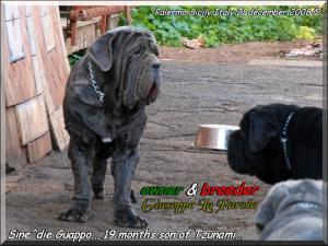 Sine^die Guappo,,, 21 Dicembre 2008,,