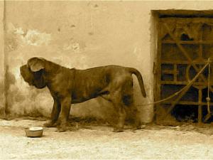marcantonio2