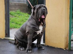 74403_1474854276010_1373281178_31114683_4351227_n