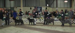 2009Nationals-39