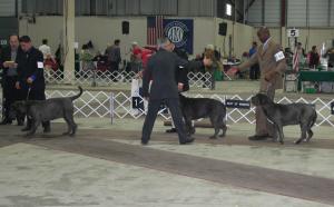 2009Nationals-24