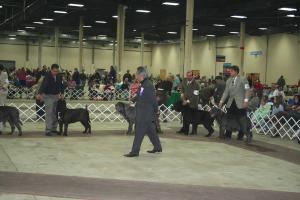 2009Nationals-34