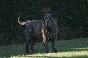 Mercurio4anos5