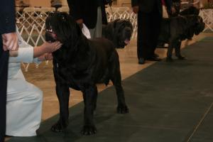 2010-Nationals-14