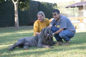 Mercurio4anos21