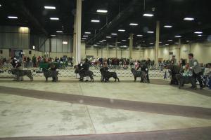2009Nationals-29