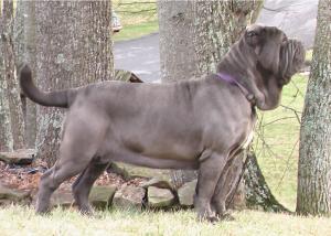 esperanza2
