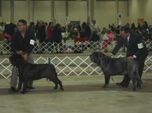 2009Nationals-30
