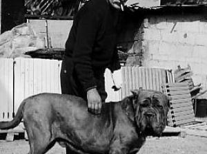 Peppe Biasone