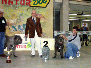 Migliore Razza1