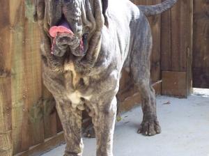 Kash 2007 063