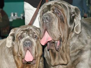 Daisy & her son Leo