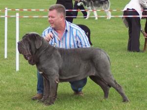 Copy of 12 07 2008 068