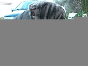 normal_DSCN00521