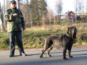 IMG_0824_1_2_1