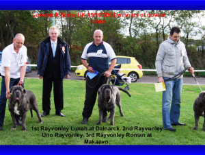 Copy of Rayvonley Novice Class