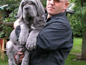 normal_akhenaton1