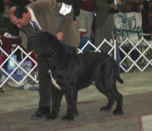 2009Nationals-20