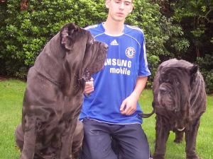 Dogs 28 10 2006 022