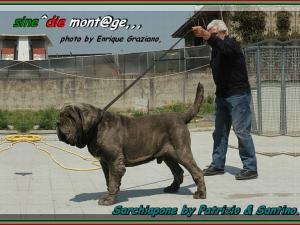 Sarchiapone,,, owner Patrizio & Santino,,, sine^die mont@ge photo by Enrique,,,