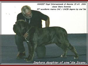 Sephora by sine^die II Res. CAC & CACIB ,,