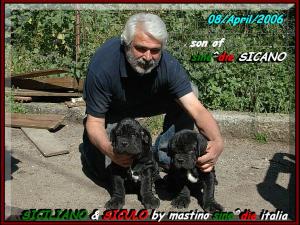 SICILIANO & SICULO.... by mastino sine^die italia