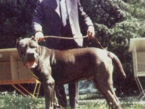 ovidio0