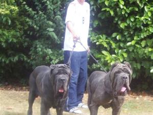 Dogs 29 07 2006.aa 108