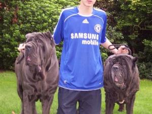 Dogs 28 10 2006 017